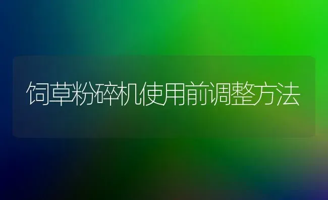 饲草粉碎机使用前调整方法 | 养殖技术大全