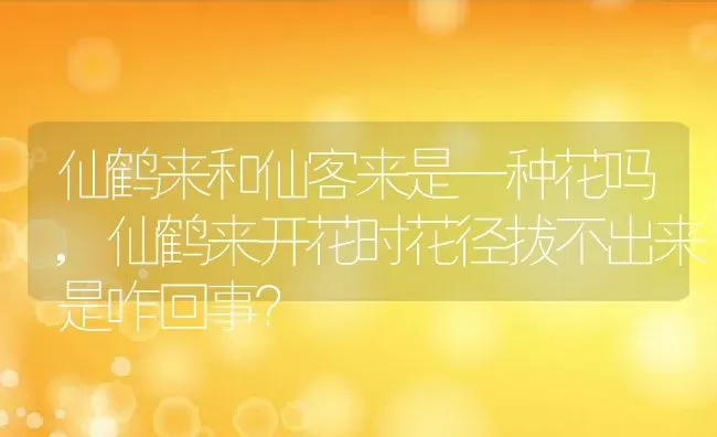 仙鹤来和仙客来是一种花吗,仙鹤来开花时花径拔不出来是咋回事？ | 养殖科普