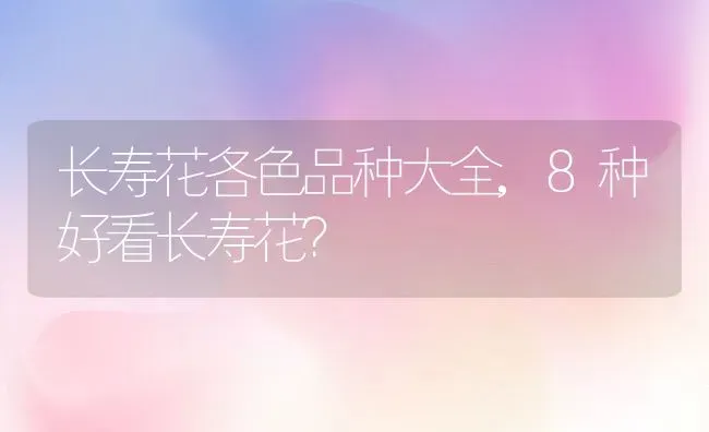 长寿花各色品种大全,8种好看长寿花？ | 养殖科普