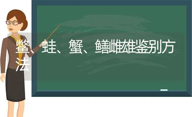 鳖、蛙、蟹、鳝雌雄鉴别方法 | 养殖技术大全