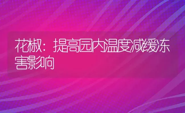 花椒：提高园内温度减缓冻害影响 | 养殖技术大全