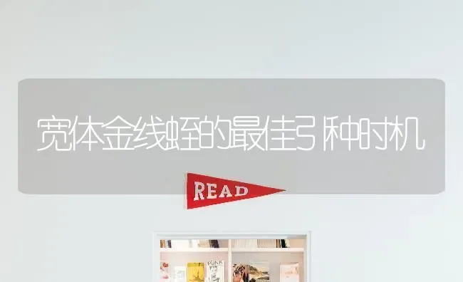 宽体金线蛭的最佳引种时机 | 养殖技术大全