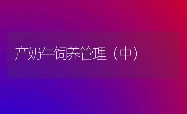 产奶牛饲养管理(中) | 养殖技术大全