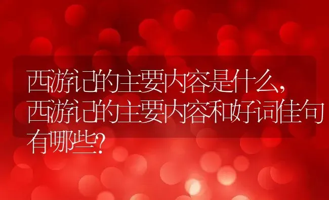 西游记的主要内容是什么,西游记的主要内容和好词佳句有哪些？ | 养殖科普