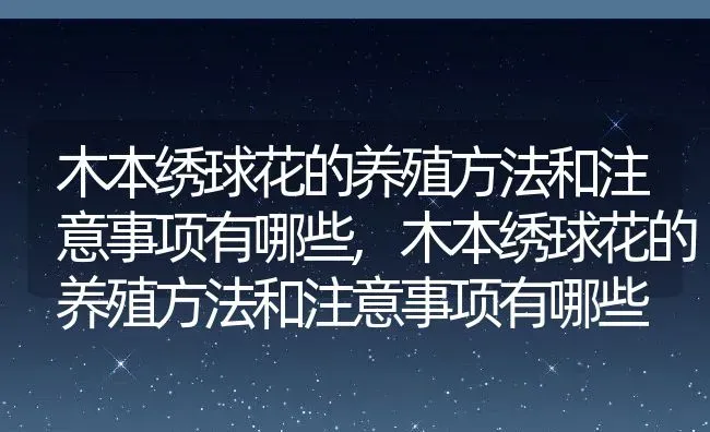 木本绣球花的养殖方法和注意事项有哪些,木本绣球花的养殖方法和注意事项有哪些 | 养殖科普