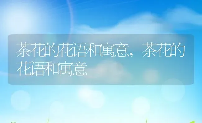 茶花的花语和寓意,茶花的花语和寓意 | 养殖科普