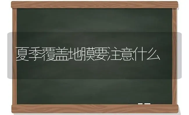 夏季覆盖地膜要注意什么 | 养殖技术大全