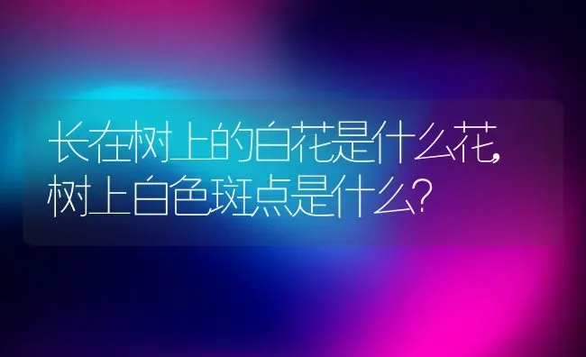 长在树上的白花是什么花,树上白色斑点是什么？ | 养殖科普