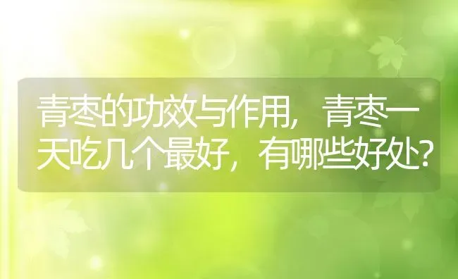 青枣的功效与作用,青枣一天吃几个最好，有哪些好处？ | 养殖科普