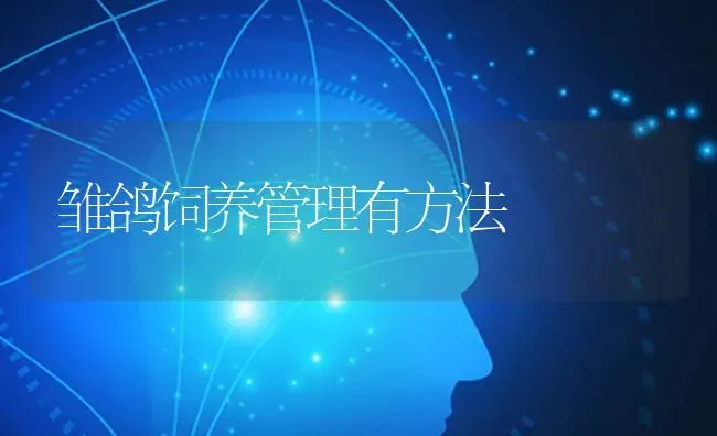 雏鸽饲养管理有方法 | 养殖技术大全