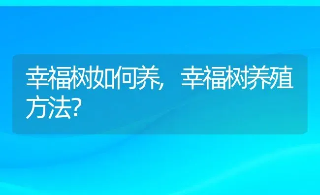 幸福树如何养,幸福树养殖方法？ | 养殖科普