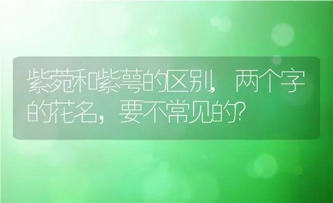 紫菀和紫萼的区别,两个字的花名，要不常见的？ | 养殖科普