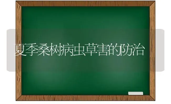 夏季桑树病虫草害的防治 | 养殖知识