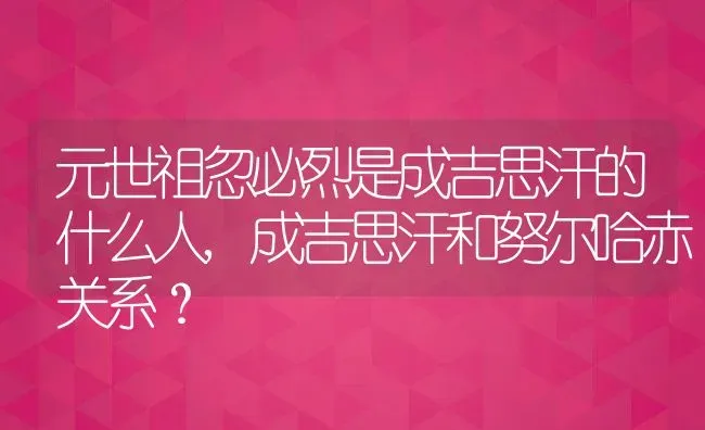 元世祖忽必烈是成吉思汗的什么人,成吉思汗和努尔哈赤关系？ | 养殖科普