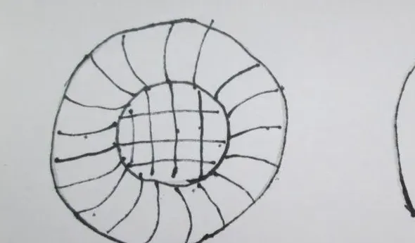 郁金香怎么画简单好看三步,儿童画花朵的几种画法？