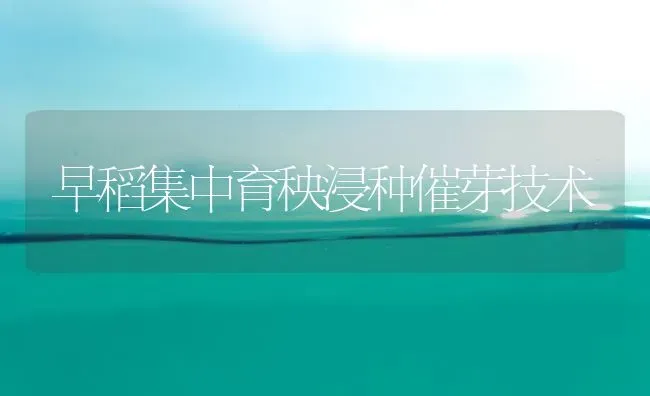 早稻集中育秧浸种催芽技术 | 养殖技术大全