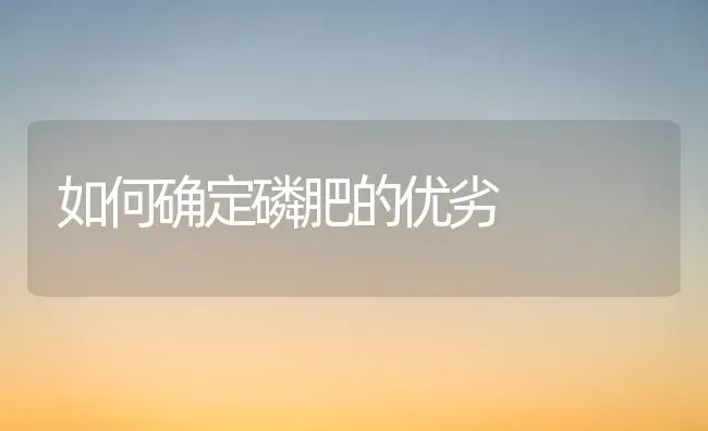 如何确定磷肥的优劣 | 养殖知识