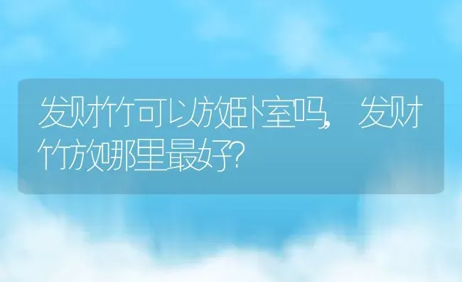 发财竹可以放卧室吗,发财竹放哪里最好？ | 养殖科普