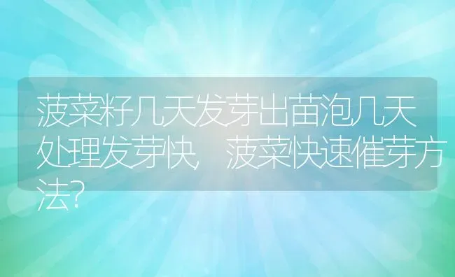 幼犬晚上一直叫怎么办,刚买的幼犬晚上一直叫怎么办 | 养殖科普