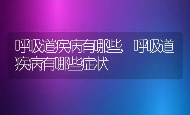 呼吸道疾病有哪些,呼吸道疾病有哪些症状 | 养殖科普