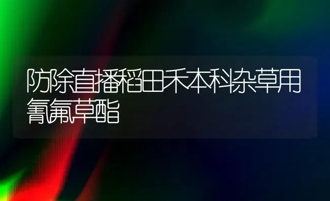 防除直播稻田禾本科杂草用氰氟草酯 | 养殖知识