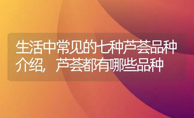 生活中常见的七种芦荟品种介绍,芦荟都有哪些品种 | 养殖学堂