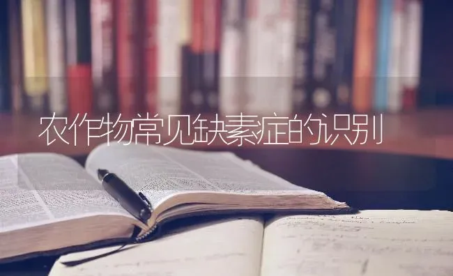 农作物常见缺素症的识别 | 养殖知识