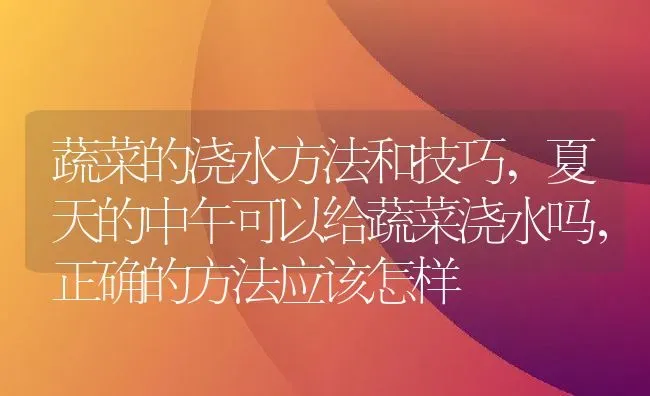 蔬菜的浇水方法和技巧,夏天的中午可以给蔬菜浇水吗，正确的方法应该怎样 | 养殖学堂