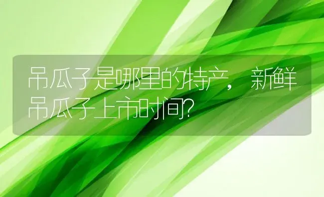 吊瓜子是哪里的特产,新鲜吊瓜子上市时间？ | 养殖科普