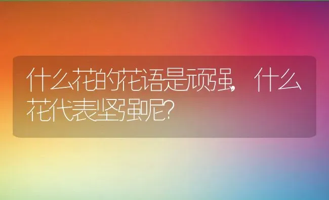 什么花的花语是顽强,什么花代表坚强呢？ | 养殖学堂