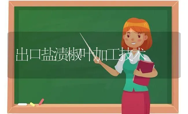 出口盐渍椒叶加工技术 | 养殖技术大全