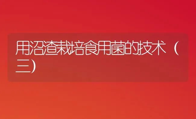 用沼渣栽培食用菌的技术(三) | 养殖技术大全