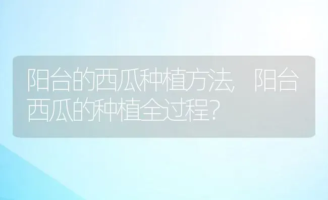 阳台的西瓜种植方法,阳台西瓜的种植全过程？ | 养殖科普