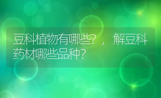 豆科植物有哪些?,解豆科药材哪些品种？ | 养殖学堂