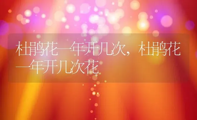 杜鹃花一年开几次,杜鹃花一年开几次花 | 养殖科普
