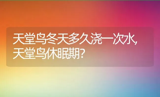 天堂鸟冬天多久浇一次水,天堂鸟休眠期？ | 养殖学堂