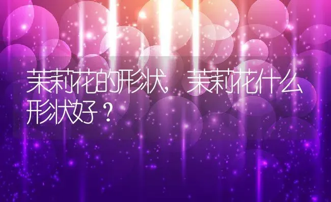 茉莉花的形状,茉莉花什么形状好？ | 养殖科普
