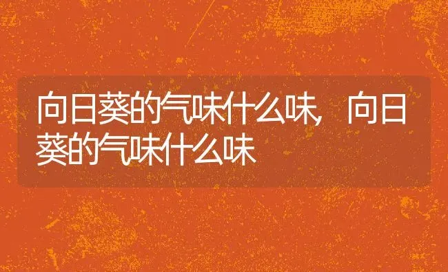 向日葵的气味什么味,向日葵的气味什么味 | 养殖科普