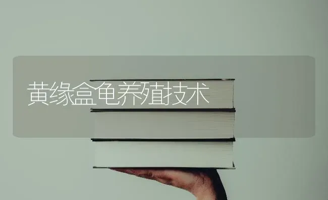 黄缘盒龟养殖技术 | 养殖技术大全