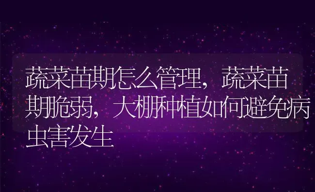 蔬菜苗期怎么管理,蔬菜苗期脆弱，大棚种植如何避免病虫害发生 | 养殖学堂