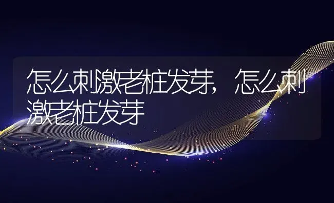 狗狗尿频一会一尿,狗狗尿频一会一尿吃什么药 | 养殖科普