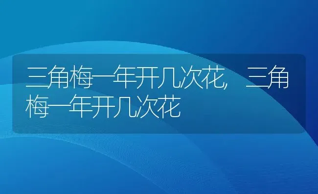 三角梅一年开几次花,三角梅一年开几次花 | 养殖科普