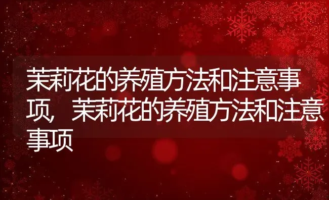 指甲掉了怎么办,乌龟指甲掉了怎么办 | 养殖资料