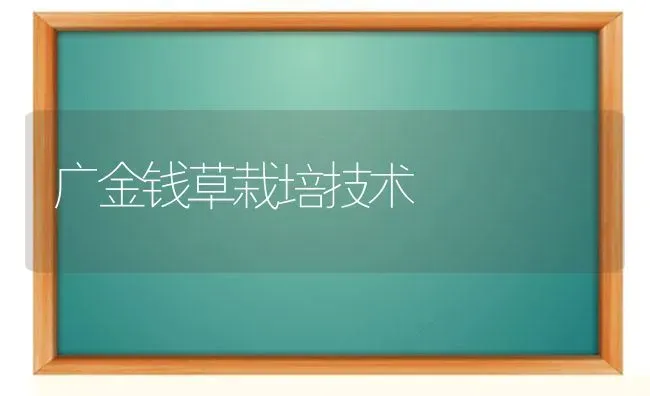 广金钱草栽培技术 | 养殖知识