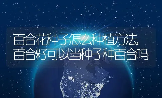 百合花种子怎么种植方法,百合籽可以当种子种百合吗 | 养殖科普