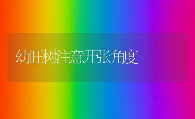 幼旺树注意开张角度 | 养殖知识