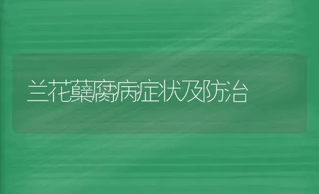 兰花蘖腐病症状及防治 | 养殖知识