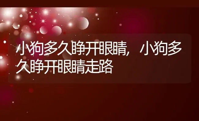 小狗多久睁开眼睛,小狗多久睁开眼睛走路 | 养殖资料