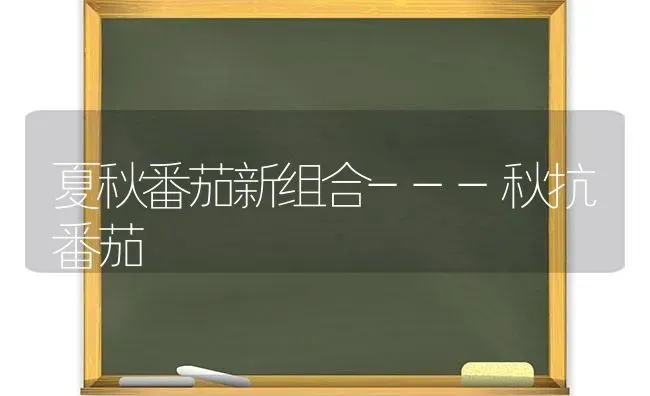 夏秋番茄新组合---秋抗番茄 | 养殖技术大全