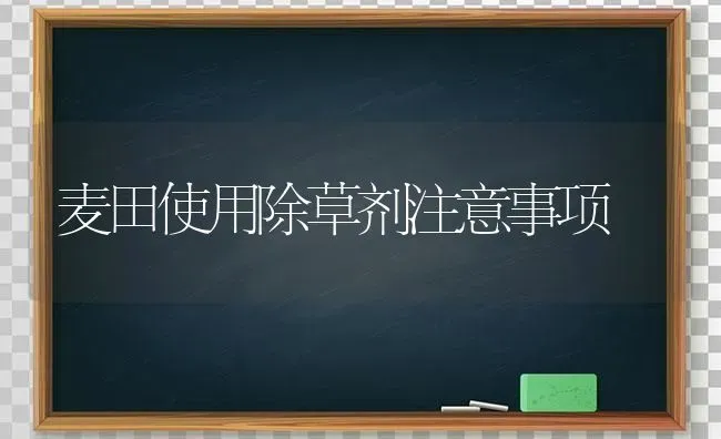 麦田使用除草剂注意事项 | 养殖技术大全